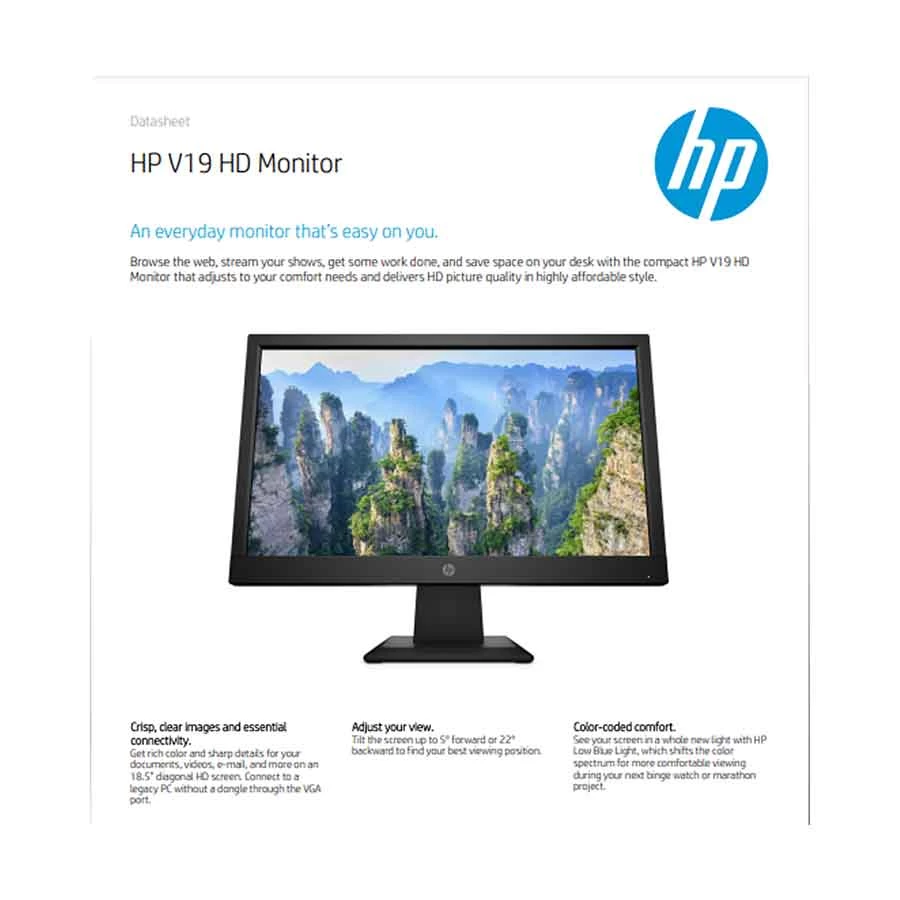 HP V19 19.5-Inch Monitor